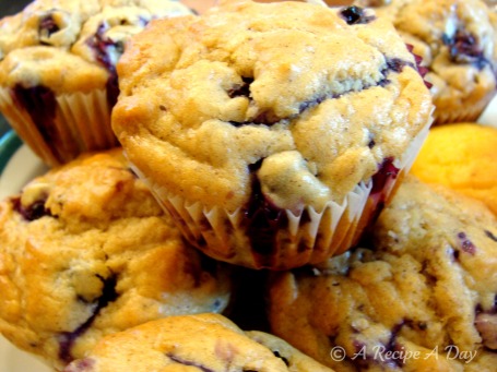 Sugar free blueberry muffin recipes